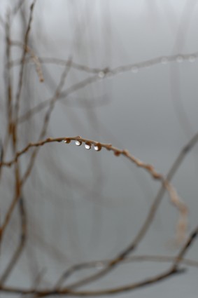 Drops